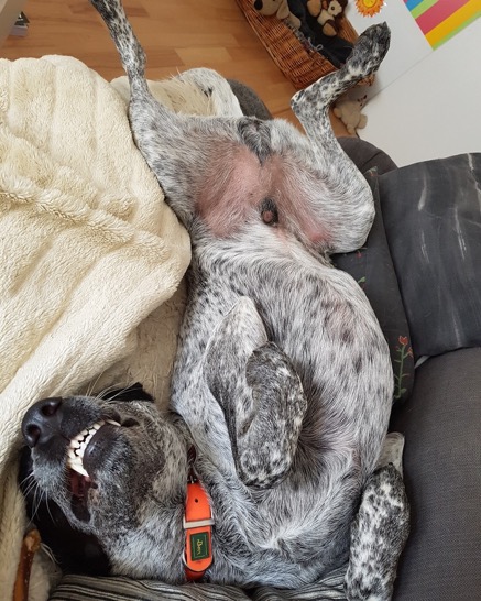 95774E89-977E-4182-AA25-938FC78D7076_1_105_c