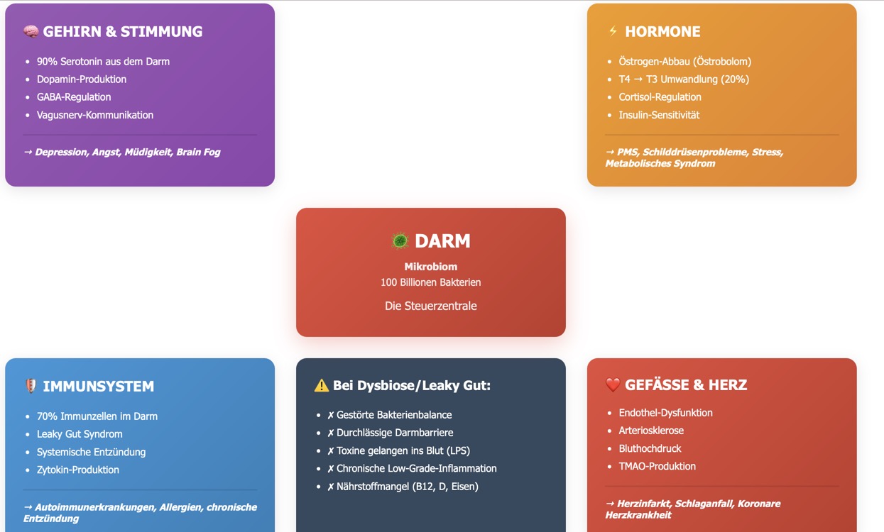 Der Tod sitzt im Darm