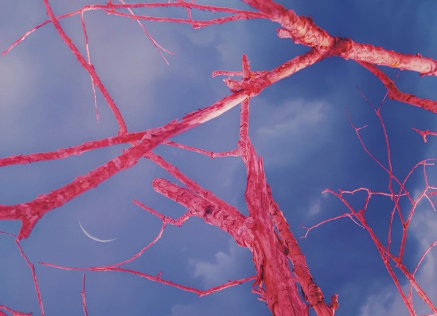 Bildschirmfoto 2025-11-27 um 20.38.51