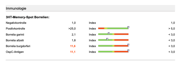 borrelien