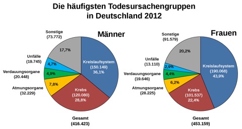 1920px-Todesursachengruppen_Deutschland_2012.svg